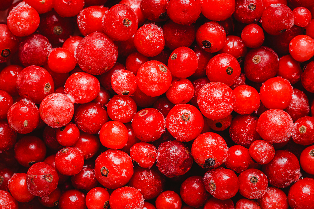 cranberries close up